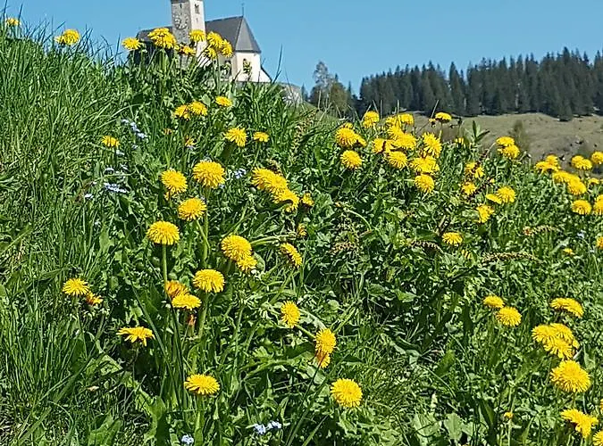 Und Restaurant Alpina Inn *