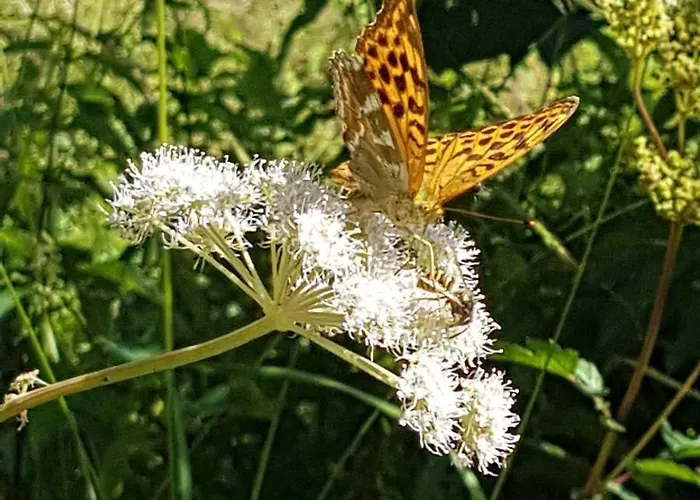 Und Restaurant Alpina Estalagem *