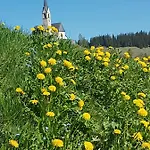 Und Restaurant Alpina Πανδοχείο *