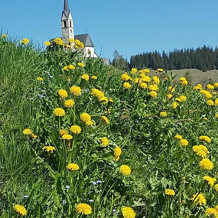 Und Restaurant Alpina Han/Misafirhane *